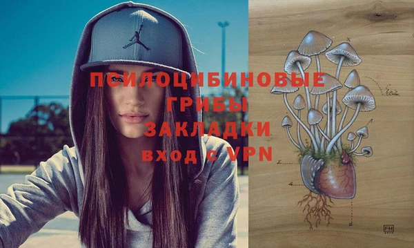 ALPHA PVP Алзамай