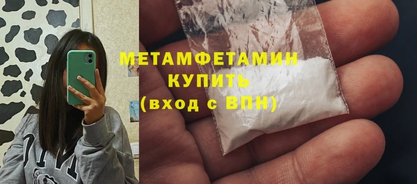 сатива Ельня